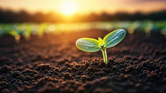 Related Stories banner