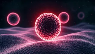 The Alarming Sleep-Cancer Link: How Poor Rest Fuels Disease Risk