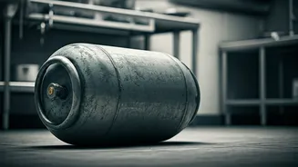 LPG Crisis Forces Delhi Restaurant 'Tadka Rani' to Shut Doors Amidst Soaring Black Market Prices