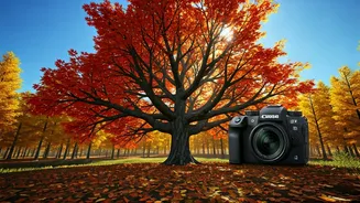 Maple Tree Mastery: Your 7-Day Guide to Identification and Autumnal Wonders