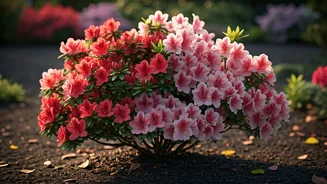 Azalea Planting Perfected: Expert Tips for Vibrant Blooms and Healthy Growth