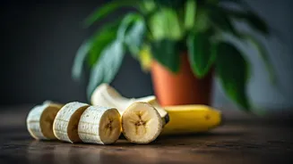Use Crushed Banana Peels Guard Indoor Flowering Plants Safely