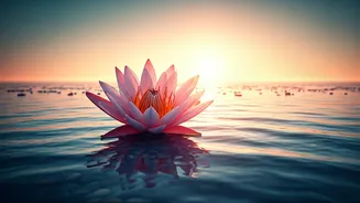 Robin Sharma's Wisdom: Unlock True Connection Through Self-Love