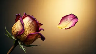 The Grip of Attachment: How Clinging Fuels Suffering and Hinders True Freedom