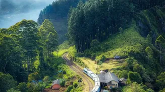 Understanding Packaging on Long Train Journeys Through Indian Railways' Food-Service Enforcement