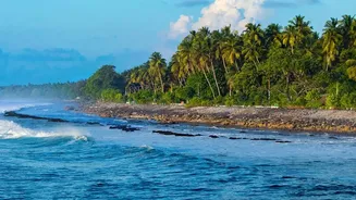 How Eastern Coastal Mangroves Act As Natural Bio-Shield Buffers Against Deadly Storm Surge Waves