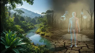 Why State of India's Environment 2026 Could Change Everyday Planning