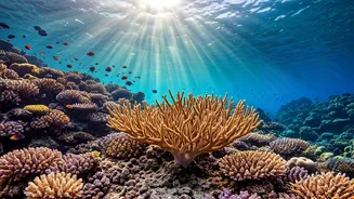 Dive into Wonder: Unforgettable Underwater Adventures Across the Globe