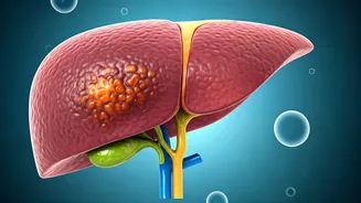 Unveiling India's Nutrient Gaps: A Guide to Overcoming Deficiencies