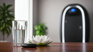 Jacqueline Fernandez's Top 5 Wellness Secrets for a Balanced Life