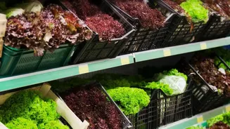 Checking Exact Product Names Can Help Shoppers Avoid a Poor Decision after the Latest FSSAI Enforcement Action