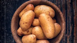 National Potato Day 2026 Celebrates Aloo's Place in Regional Kitchens