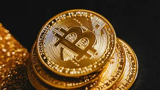 Before Buying A Gold Coin, Check Purity, Certification And Seller Details