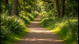 A Short Brisk Walk Can Wake Up A Long Afternoon