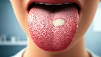 Related Stories banner