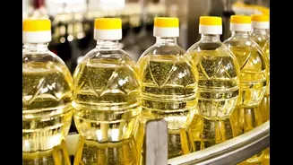 PM Modi's Appeal To Consume Less Edible Oil Sees Impact As Imports Fall 29% In June