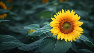 Transforming Monday Blues: A Parent's Guide to Brighter Week Starters for Kids