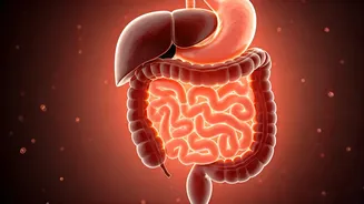 Could Slower Eating Improve Your Digestion?