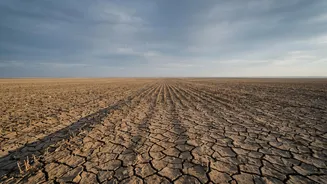 Below-Normal September Rain: What Farmers And Consumers Should Watch