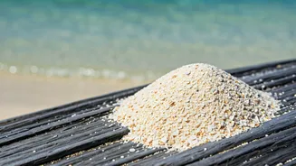 Beach Souvenirs: The Surprising Legal Traps of Bringing Home Sand and Shells