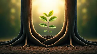 Related Stories banner