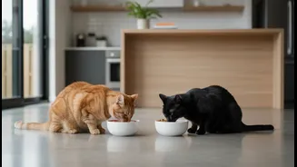 How expert behavioral conditioning methods prevent territorial food guarding between apartment cats