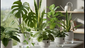 Low-Maintenance Gardening Trend Makes Self-Watering Pots A Home Favourite