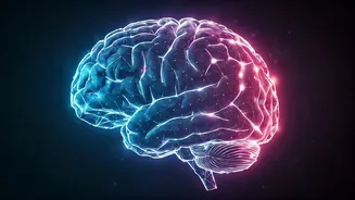 Beyond Stasis: How AI Can Achieve Human-Like Continuous Learning