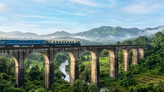 How To Use Rail Special Services For A Less Last-Minute Festival Journey