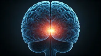 Sound Therapy: A Hopeful Horizon for Alzheimer's Treatment