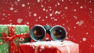 How to create a balanced festive bonus allocation framework that caters to gifting and savings