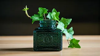 Vintage Glass Inkwells Reborn As Trendy Workspace Ivy Holders