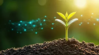 Climate Learning Moves Into Everyday Life