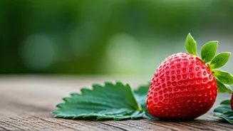 Mahabaleshwar's Strawberry Season: A Sweet Guide