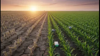 Research Explores Smarter Ways To Restore Farmland