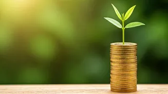 Building Financial Stability: A Long-Term Approach