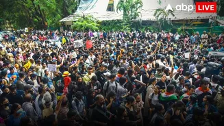 Pakistan On CJP Protest: कॉकरोच जनता पार्टी के प्रदर्शन पर क्या बोला पाकिस्तानी मीडिया, PAK एक्सपर्ट ने लगाई फटकार, जानें क्या कहा?