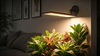 Smart Plug Timers Protect Apartment Indoor Plants From Darkness