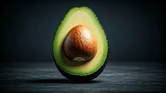The Avocado's Epic Journey: From Ancient Origins to Indian Tables