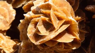 How to create stunning desert rose sculptures