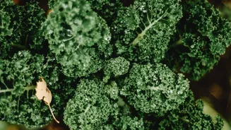 5 vegetables that are naturally high in iron
