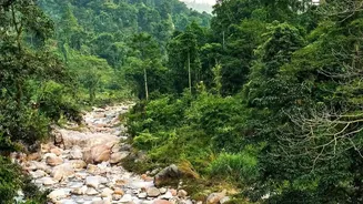 Eco Tourism In Northeast India Continues To Grow