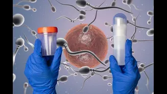 IVF Clinics Don’t Just Treat Infertility, They Prevent Genetic Accidents, Says Senior Obstetrician