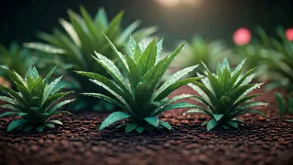 The Monsoon Gardening Guide Every Beginner Needs