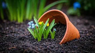 First Showers Turn Pots Into Flower Surprises