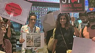 Mumbai News: Men Impersonate BMC Staff, Threaten Dog Pick-Up In Andheri, Sparking Outrage