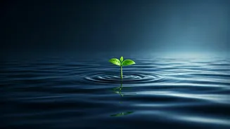 Related Stories banner