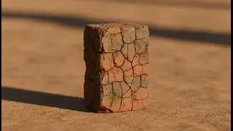 विठ्ठलाच्या पायाखाली वीट का आहे?