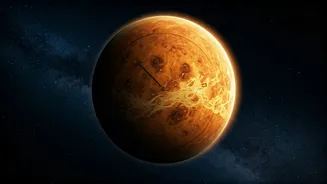A Single Venusian Axial Rotation Outlasts Its Full Year
