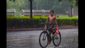 Strong Dusty Winds Sweep Delhi As IMD Issues Red Alert For Thunderstorms, Rain